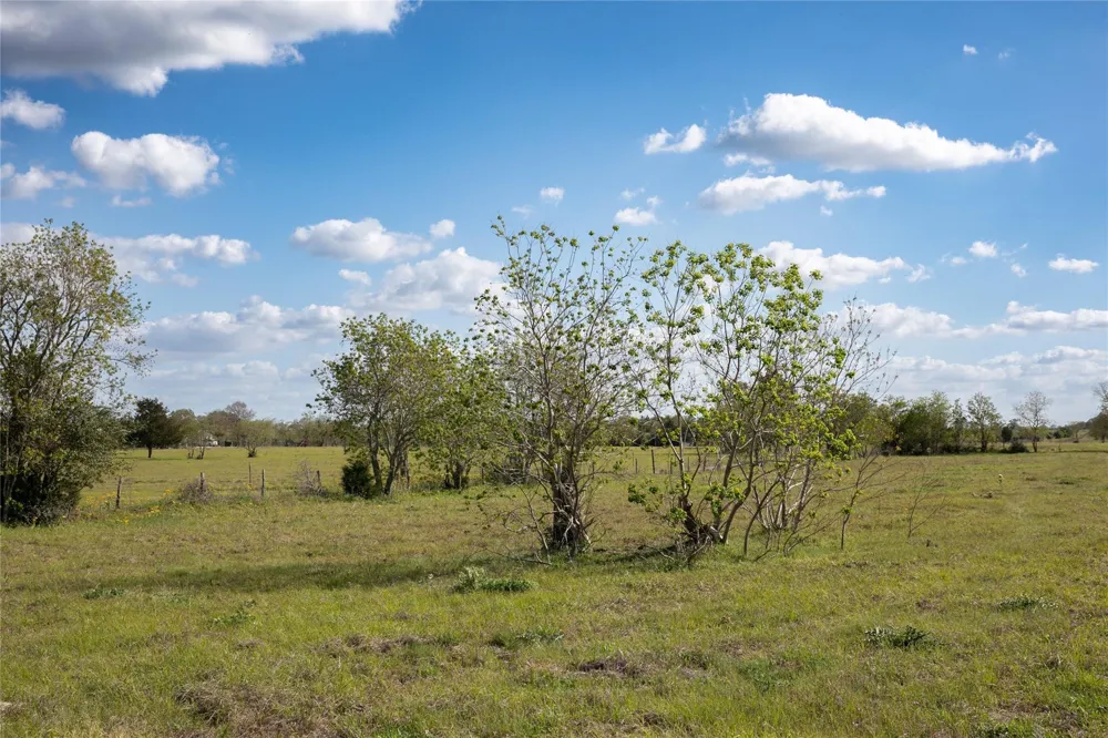 Trenckmann Road Sealy, TX 77474