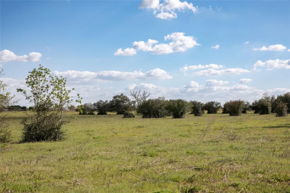 Trenckmann Road Sealy, TX 77474
