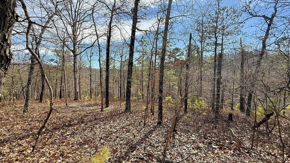 238 Fox Track Trail Kansas, OK 74347