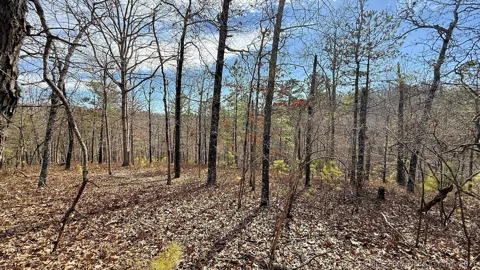 238 Fox Track Trail