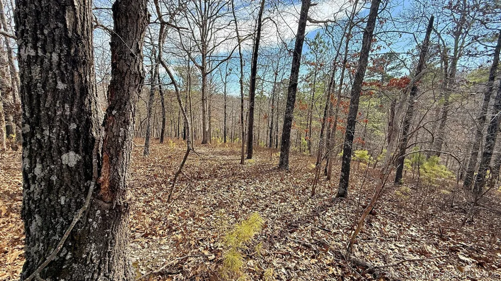 238 Fox Track Trail Kansas, OK 74347