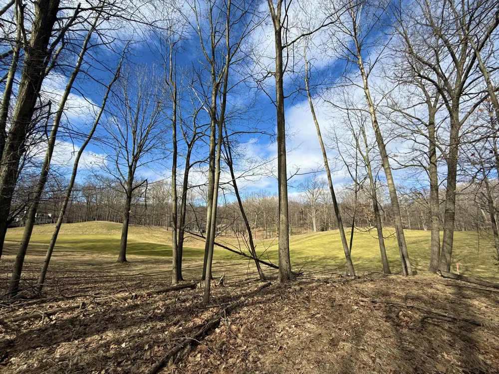 9689 Saint Ives Drive Stanwood, MI 49346