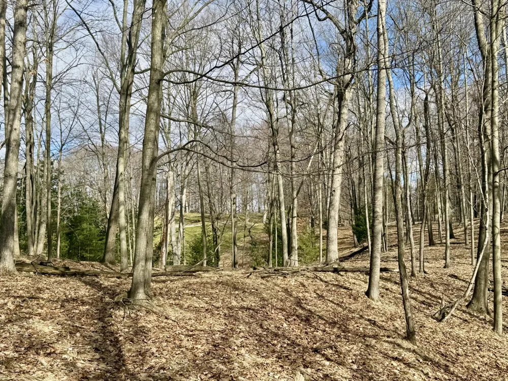 9689 Saint Ives Drive Stanwood, MI 49346