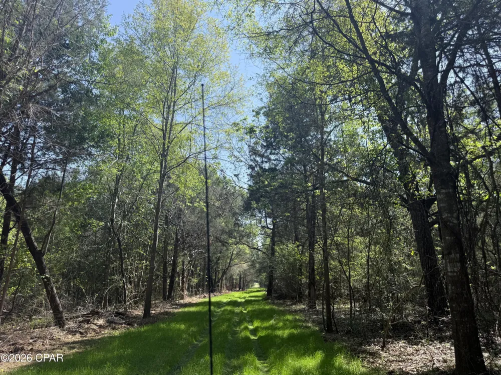 Sheffield Drive Marianna, FL 32446