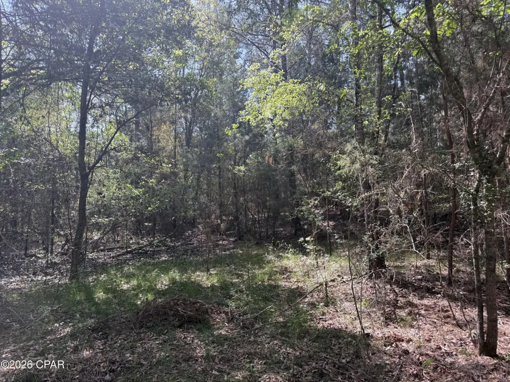 Sheffield Drive Marianna, FL 32446