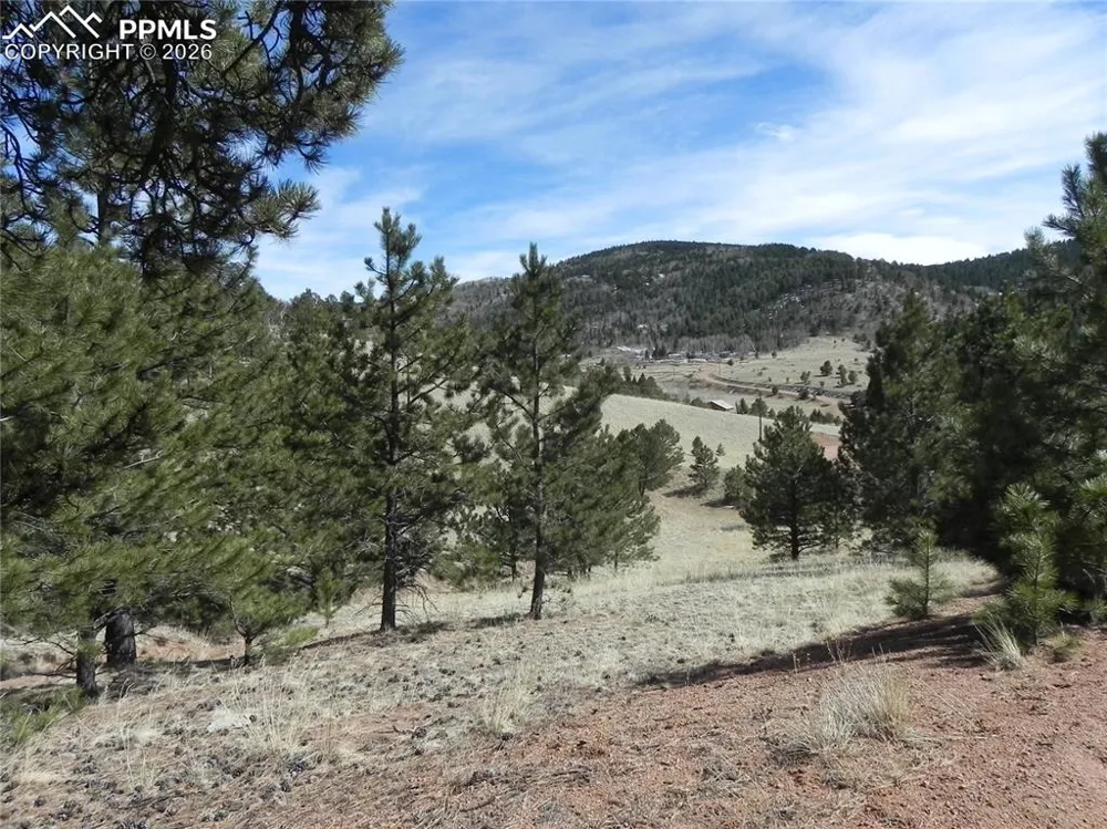 1087 Monarch Drive Cripple Creek, CO 80813