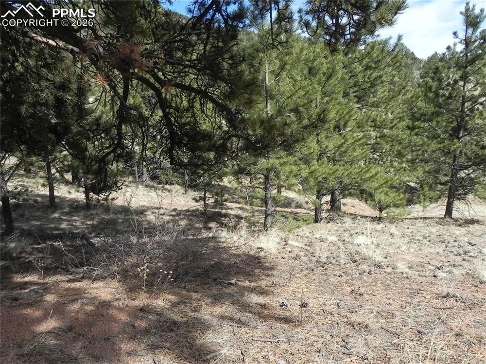 1087 Monarch Drive Cripple Creek, CO 80813