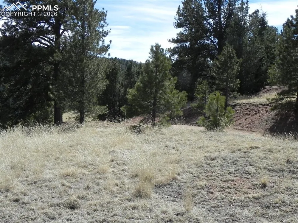 1087 Monarch Drive Cripple Creek, CO 80813