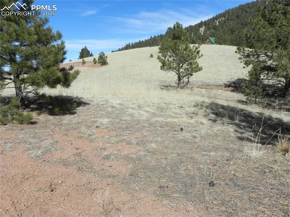 1087 Monarch Drive Cripple Creek, CO 80813