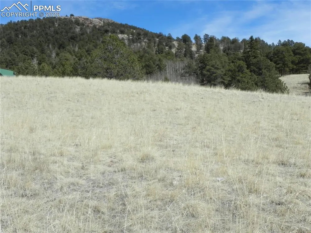1087 Monarch Drive Cripple Creek, CO 80813