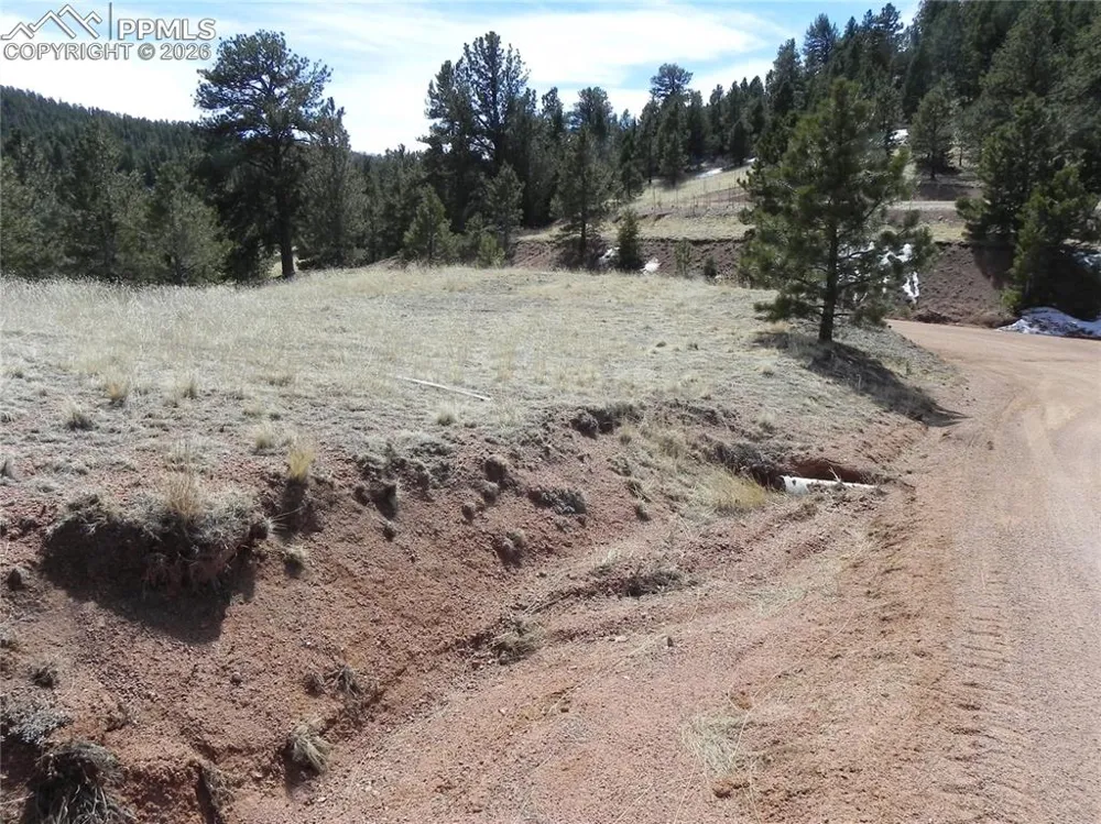 1087 Monarch Drive Cripple Creek, CO 80813