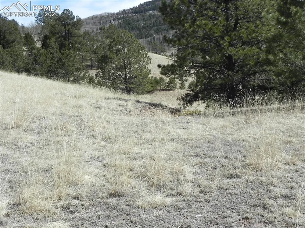 1087 Monarch Drive Cripple Creek, CO 80813