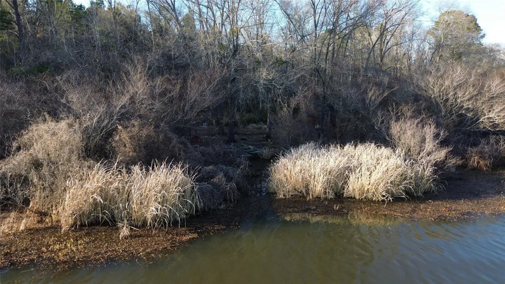 Fm 314 Chandler, TX 75758