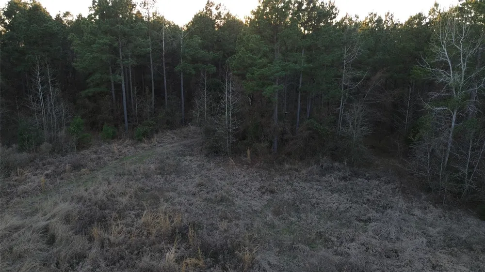 Fm 314 Chandler, TX 75758