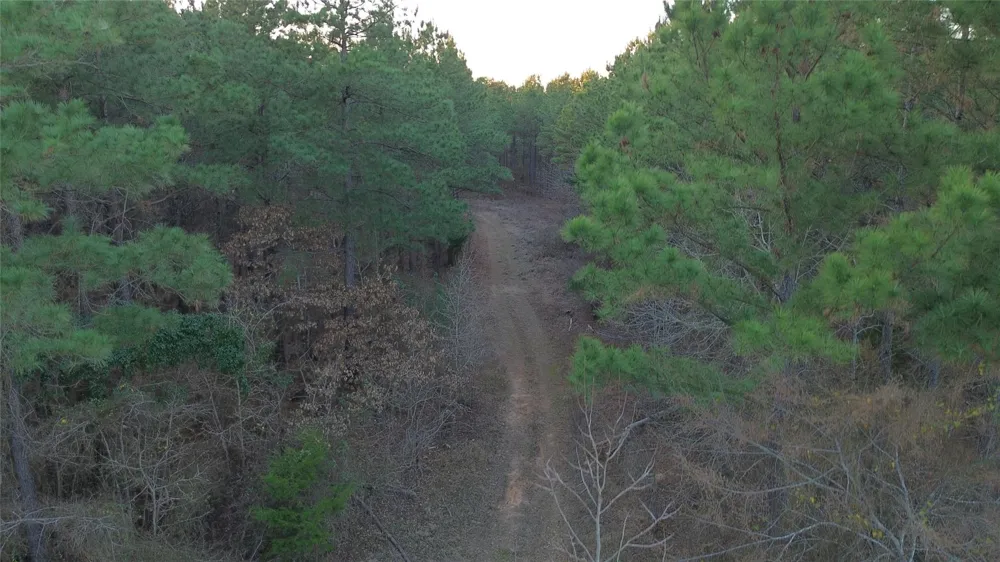 Fm 314 Chandler, TX 75758