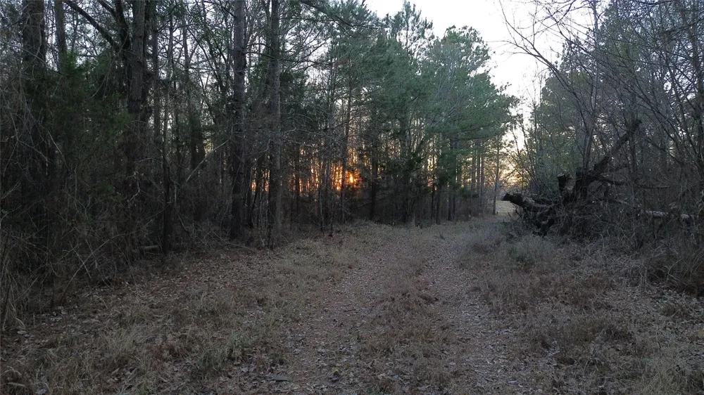 Fm 314 Chandler, TX 75758