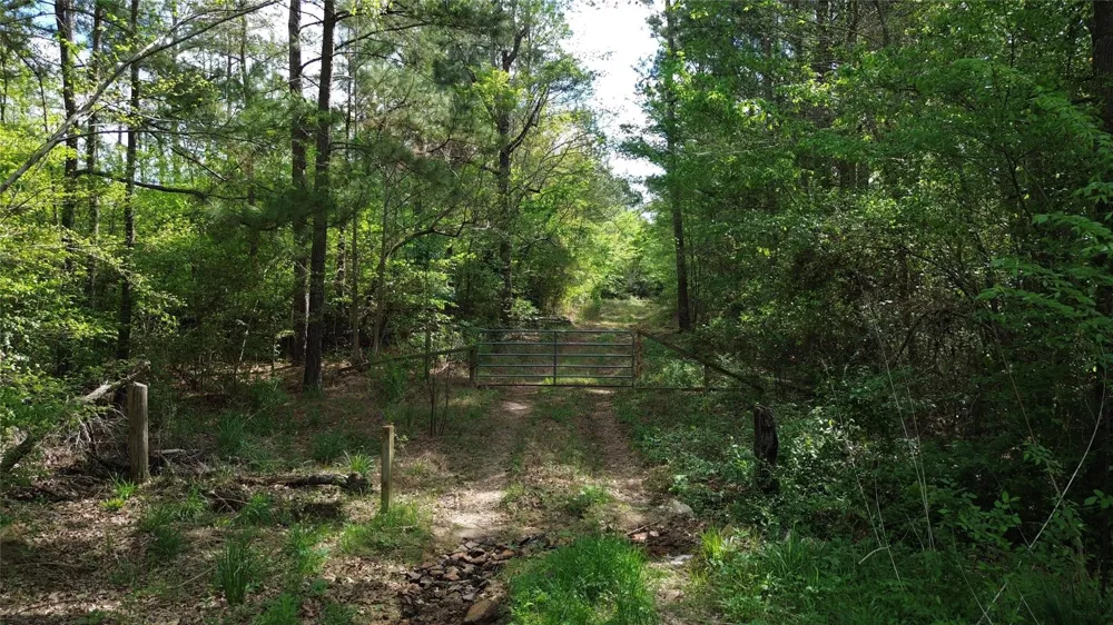Fm 314 Chandler, TX 75758
