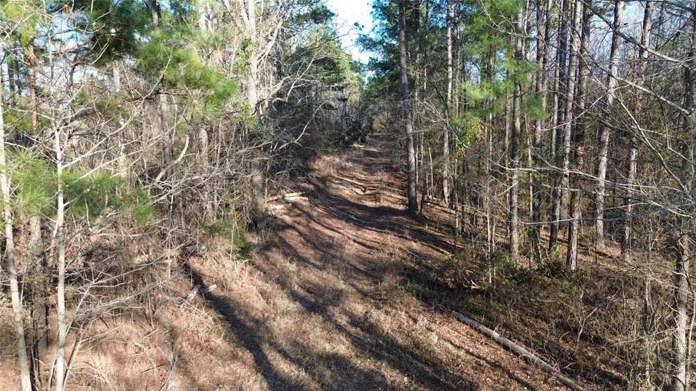 Fm 314 Chandler, TX 75758