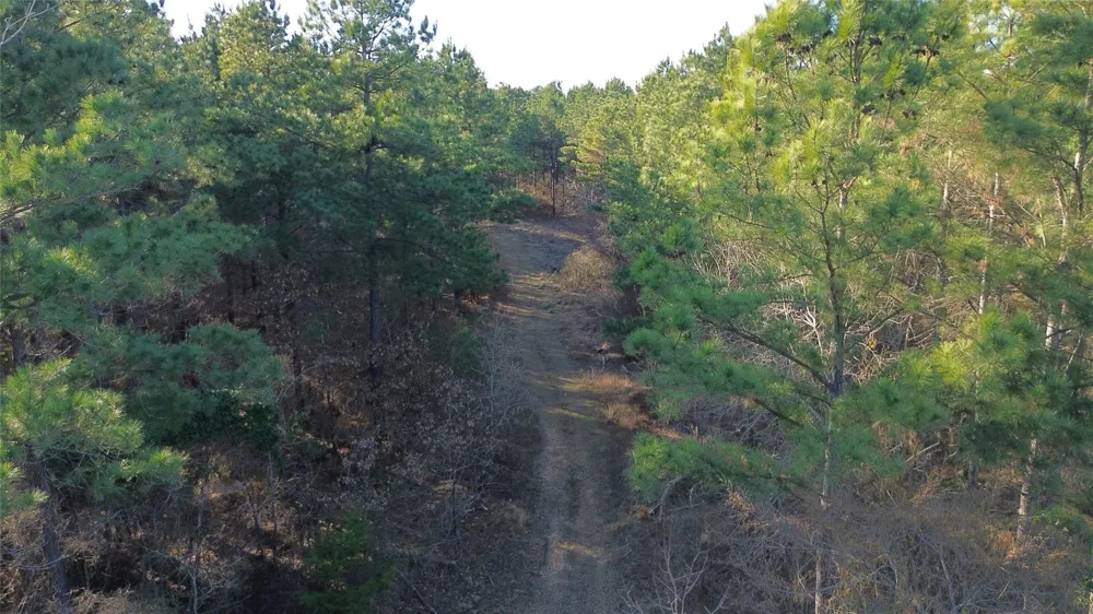 Fm 314 Chandler, TX 75758