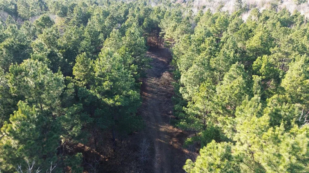 Fm 314 Chandler, TX 75758