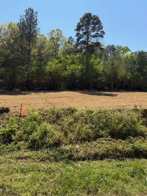 84 Popham Road Tract 2 Taylorsville, GA 30178