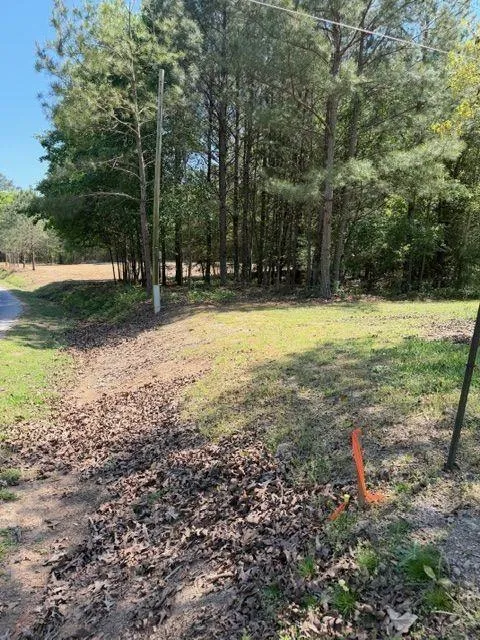 84 Popham Road Tract 3 Taylorsville, GA 30178