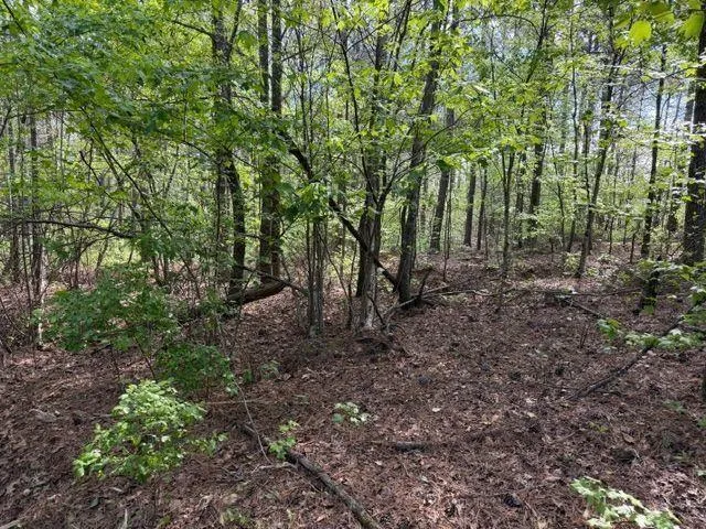 84 Popham Road Tract 3 Taylorsville, GA 30178