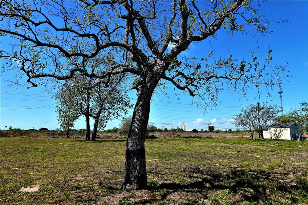 8th Street Ingleside, TX 78362