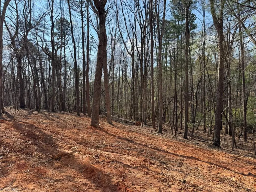 348 Woodland Drive Elkin, NC 28621