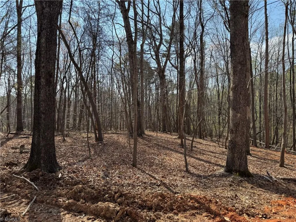 348 Woodland Drive Elkin, NC 28621
