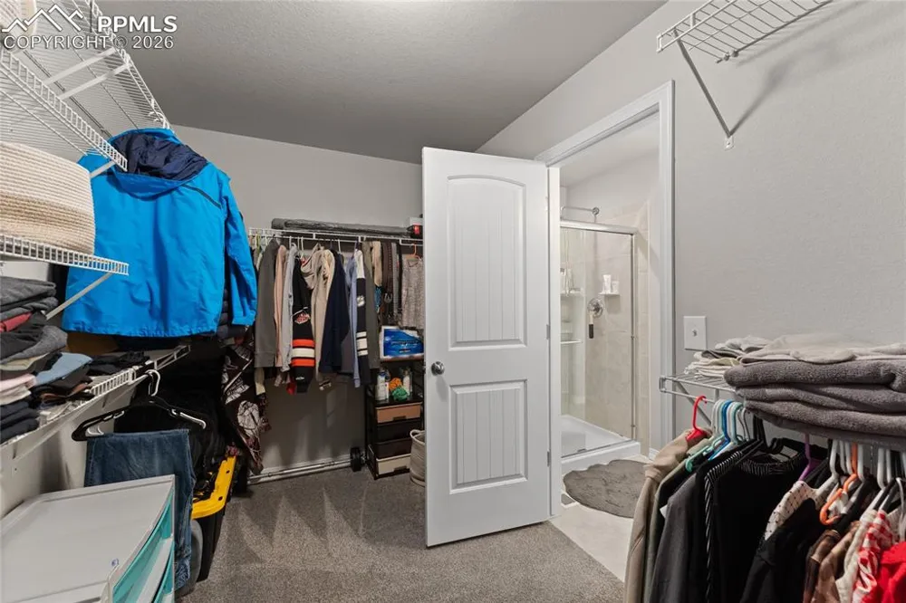 8172 Basaltic Drive Colorado Springs, CO 80938