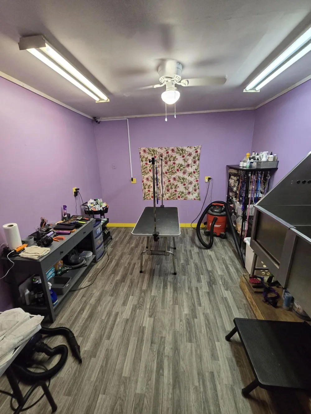 6176 S Broadway Street Yates Township, MI 49642