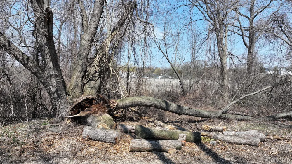 Steadfield Street Commerce Charter Township, MI 48382