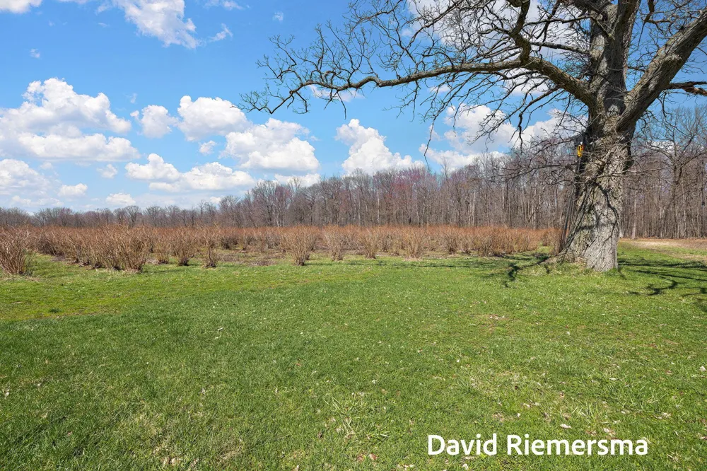466 27th Street Allegan Township, MI 49010