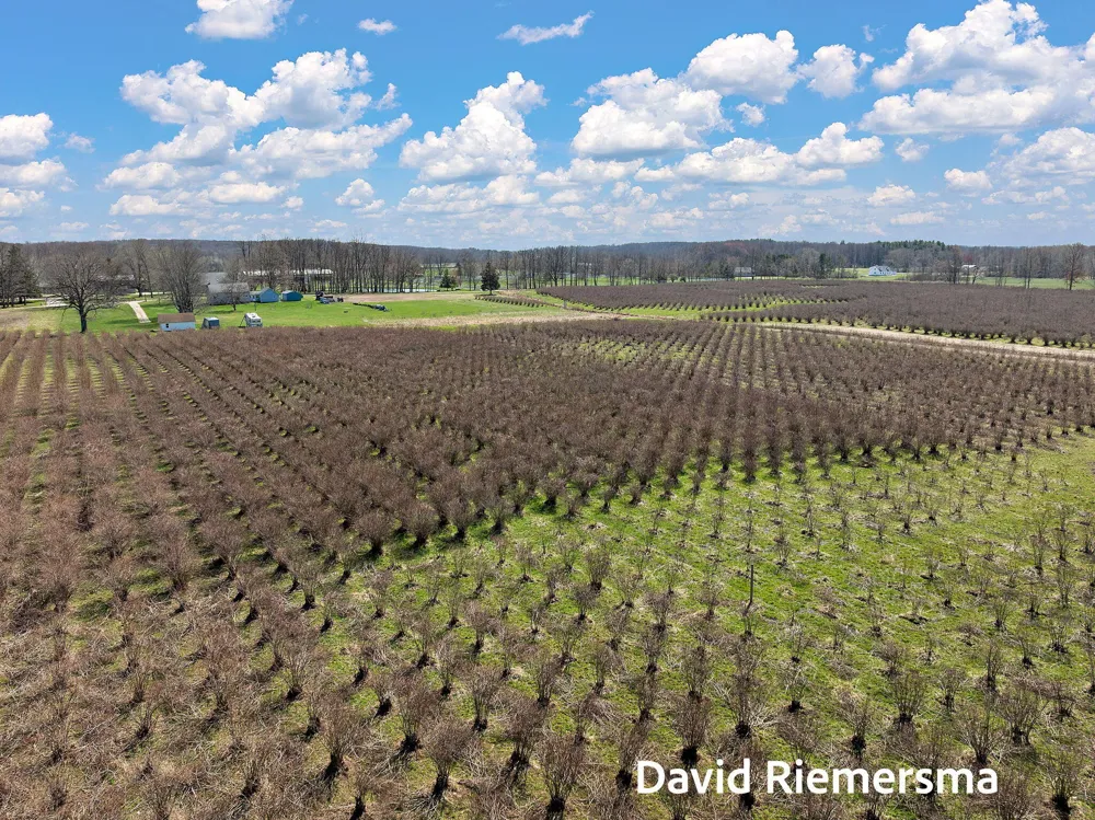 466 27th Street Allegan Township, MI 49010