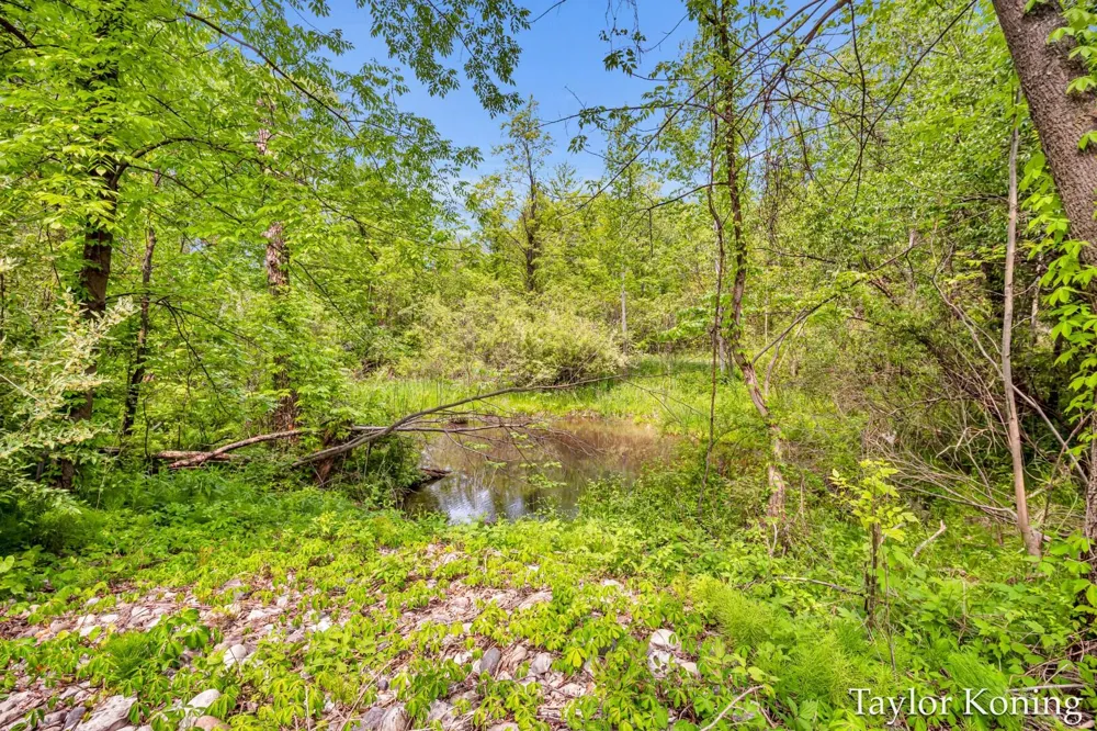 3111 128th Avenue Elbridge Township, MI 49420