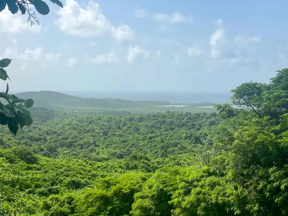 309 CALLE PAPO FOSTER Vieques, PR 00765