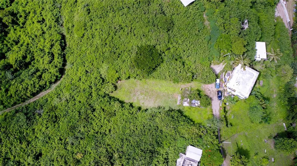309 CALLE PAPO FOSTER Vieques, PR 00765