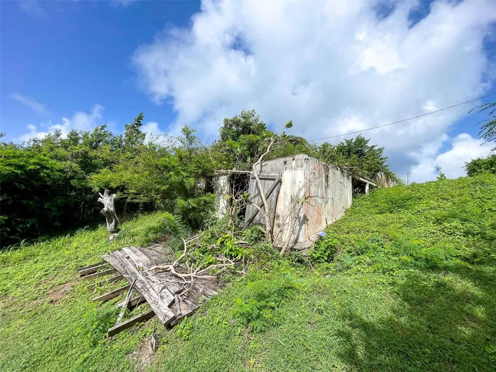 309 CALLE PAPO FOSTER Vieques, PR 00765