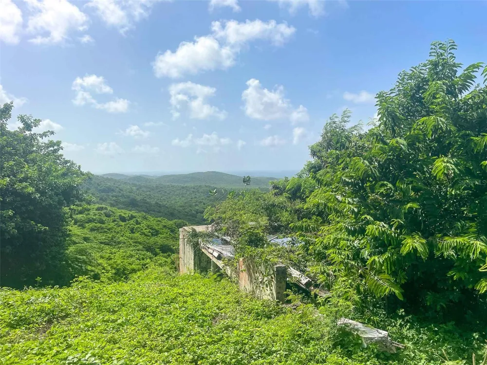 309 CALLE PAPO FOSTER Vieques, PR 00765