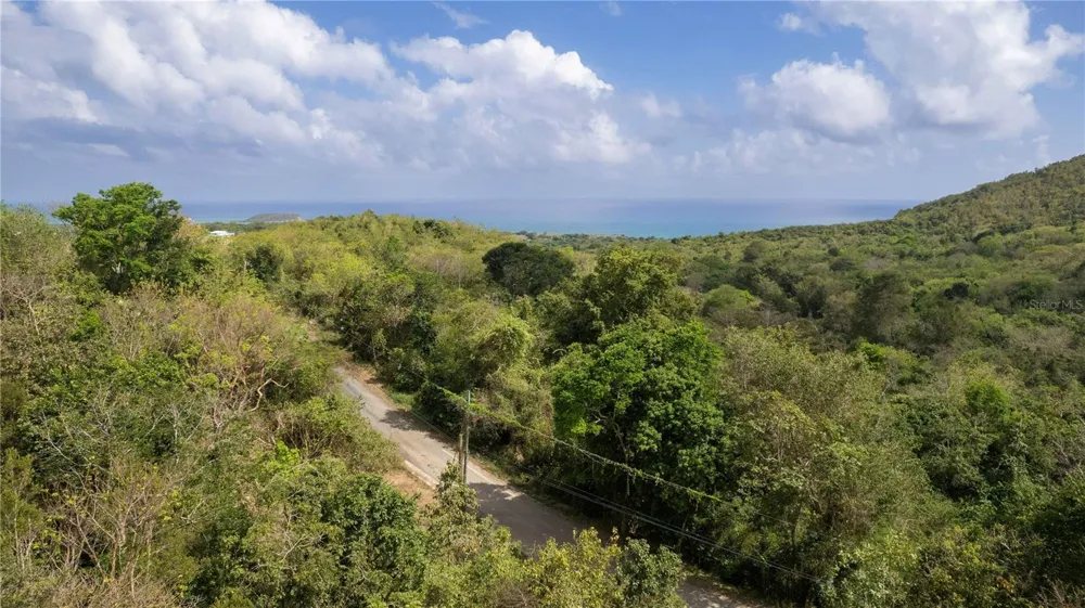 173 LA LLAVE ROAD Vieques, PR 00765