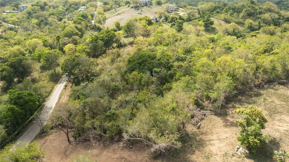 173 LA LLAVE ROAD Vieques, PR 00765