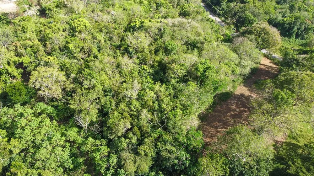 173 LA LLAVE ROAD Vieques, PR 00765