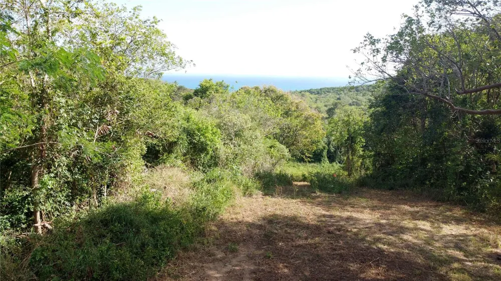 173 LA LLAVE ROAD Vieques, PR 00765