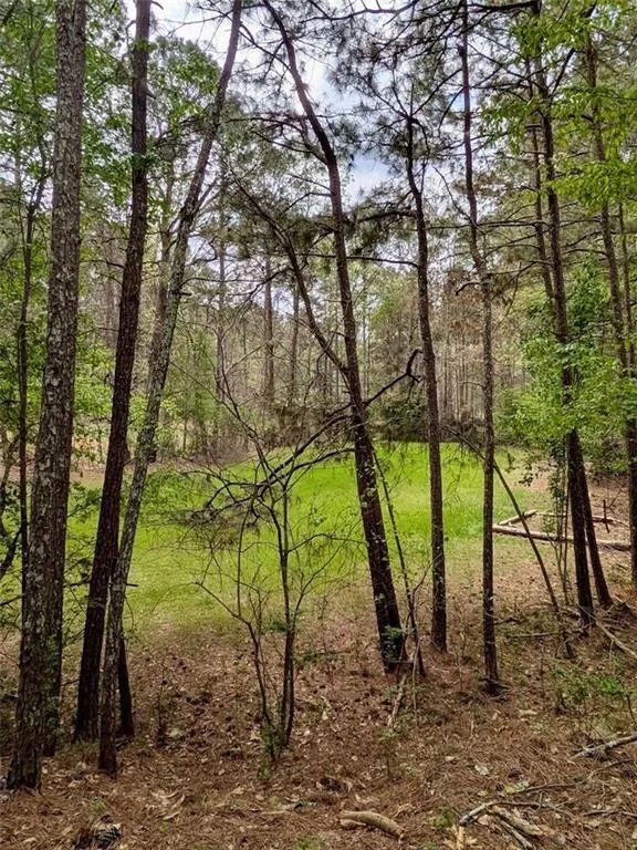 16040 Henderson Road Milton, GA 30004