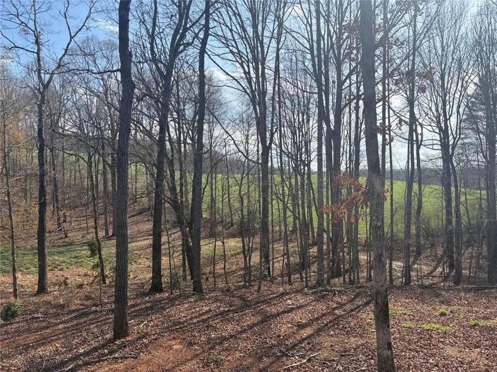 643 Old Ridge Road Demorest, GA 30535