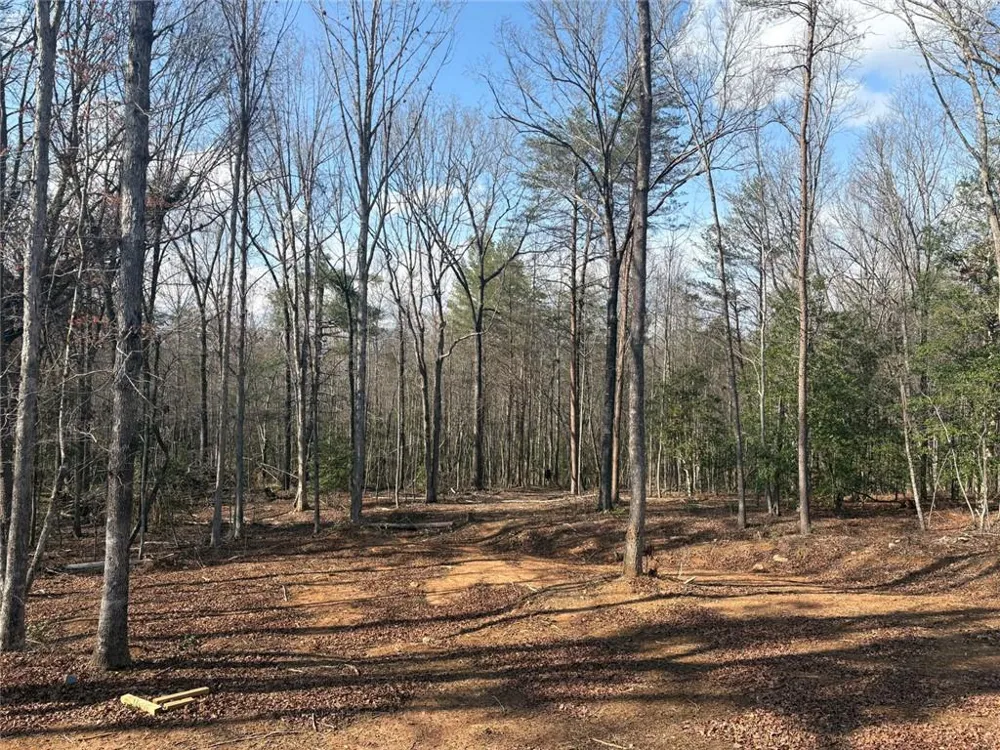 643 Old Ridge Road Demorest, GA 30535