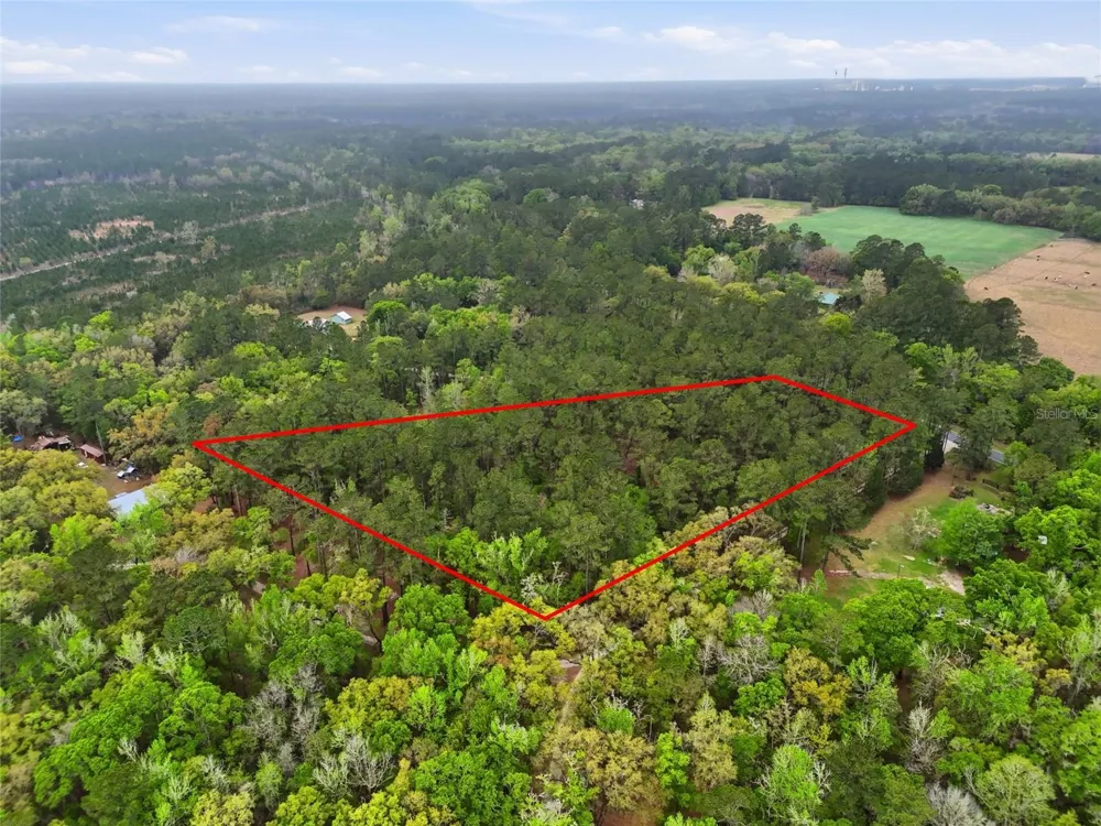 NW COUNTY ROAD 231 Gainesville, FL 32609