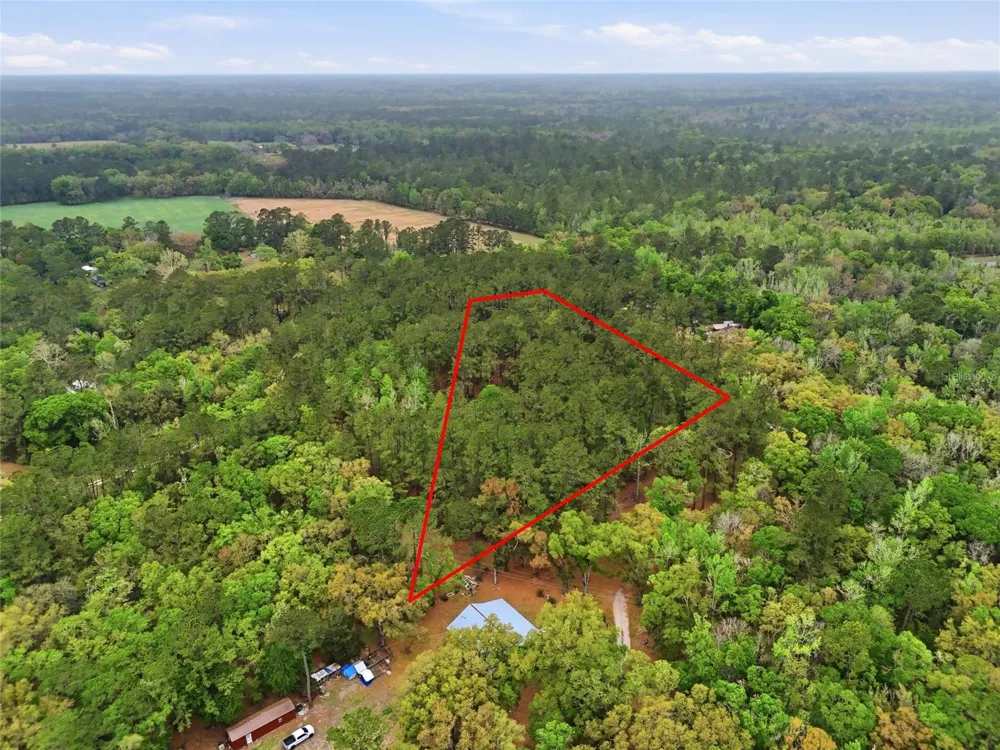 NW COUNTY ROAD 231 Gainesville, FL 32609