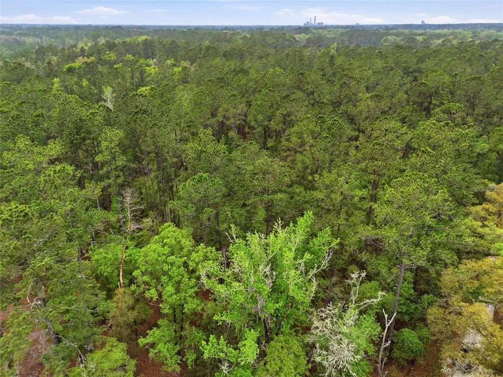 NW COUNTY ROAD 231 Gainesville, FL 32609